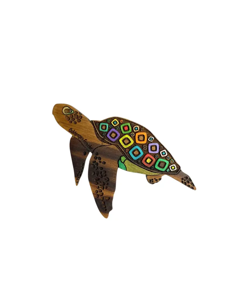 MAGNETICO TORTUGA
