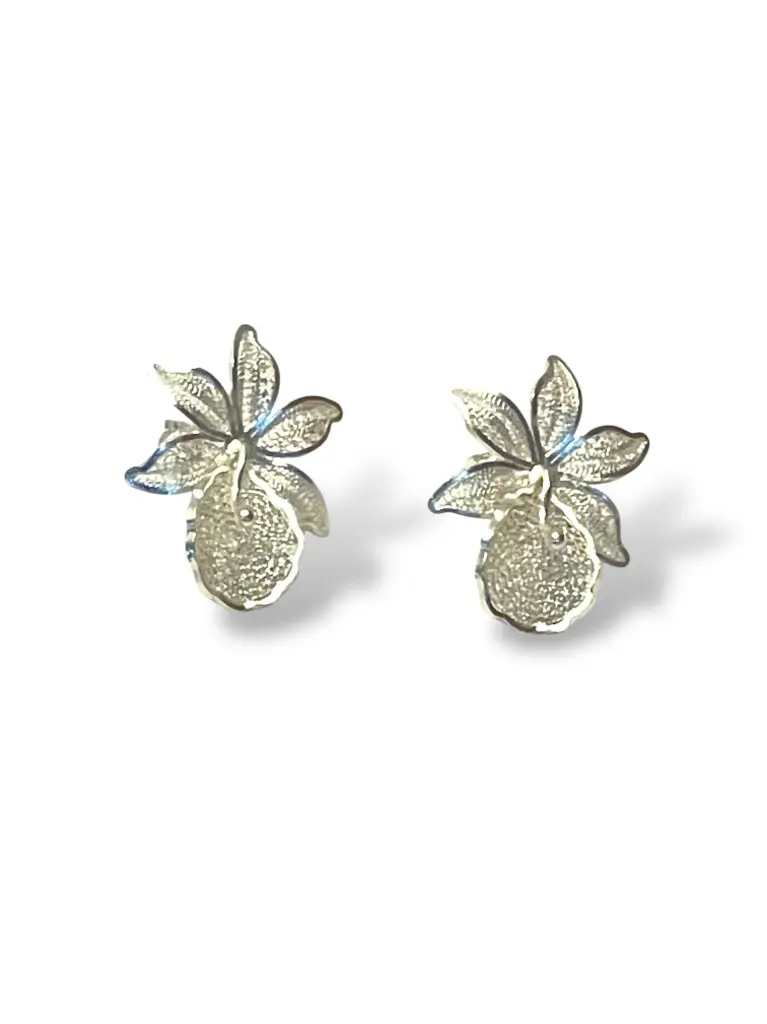 PAR ARETES IDENTIDAD EN PLATA 