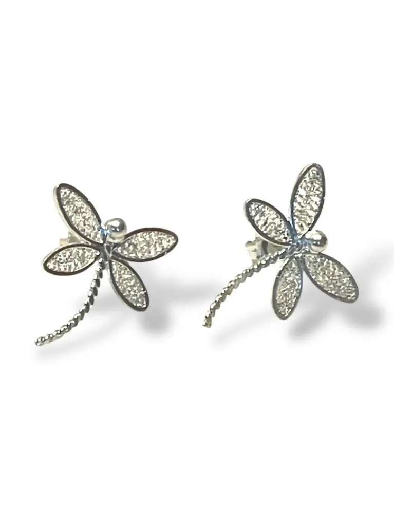 PAR DE ARETES IDENTIDAD EN PLATA