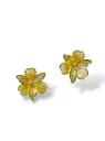 PAR DE ARETES IDENTIDAD EN PLATA