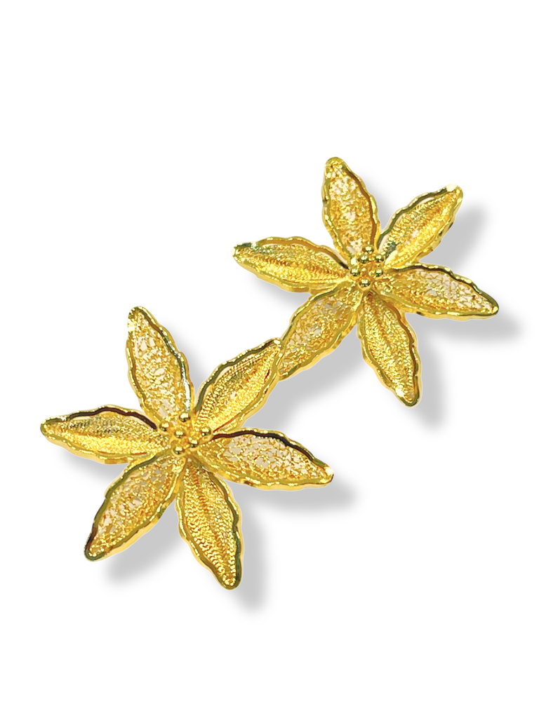 TJR336 - PAR DE ARETES IDENTIDAD EN PLATA