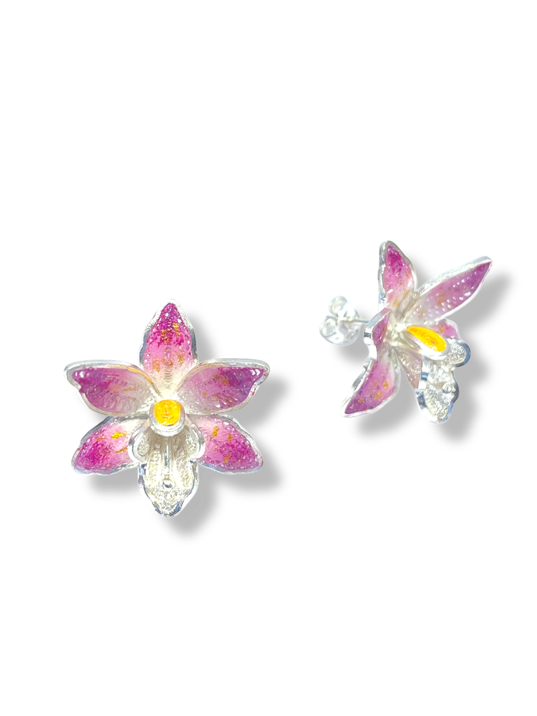 TJR340 - PAR DE ARETES IDENTIDAD EN PLATA