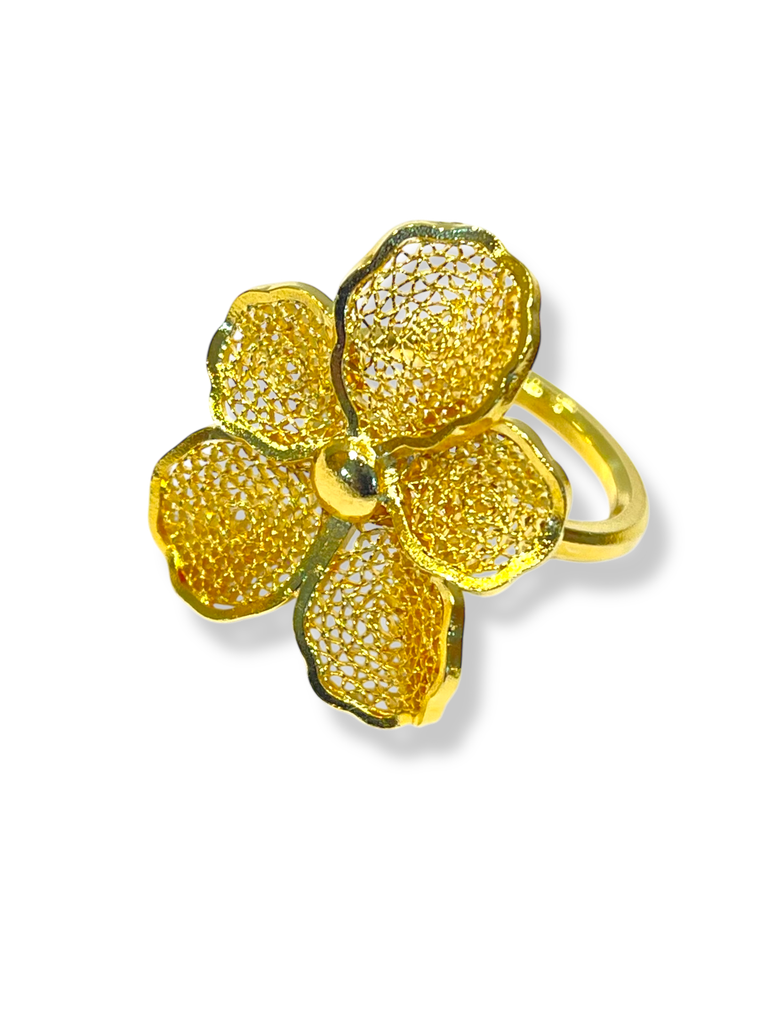 TJN312 - ANILLO IDENTIDAD EN PLATA