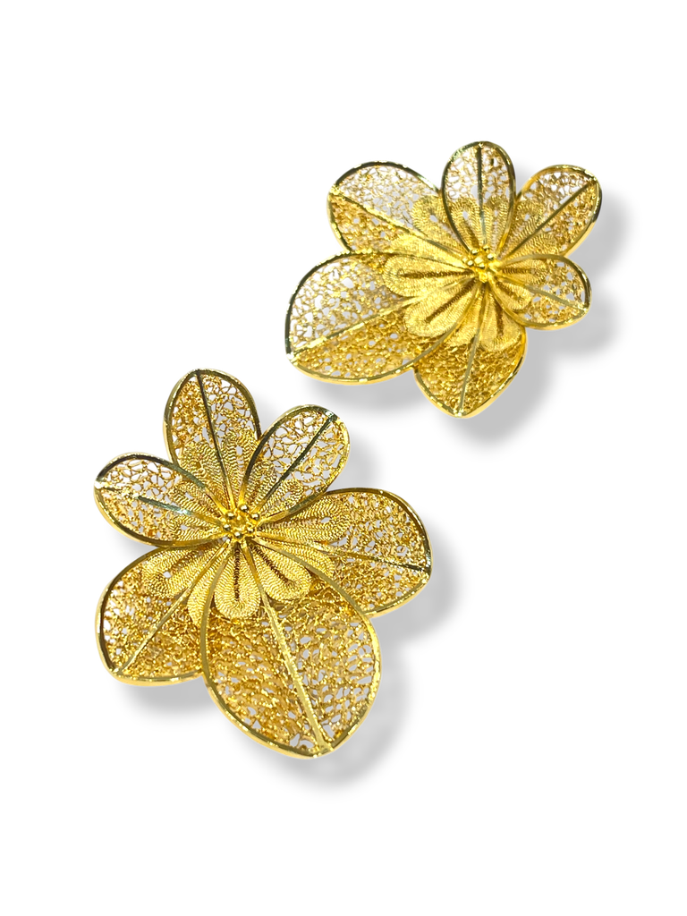 [TJR360] TJR360 - PAR DE ARETES IDENTIDAD EN PLATA