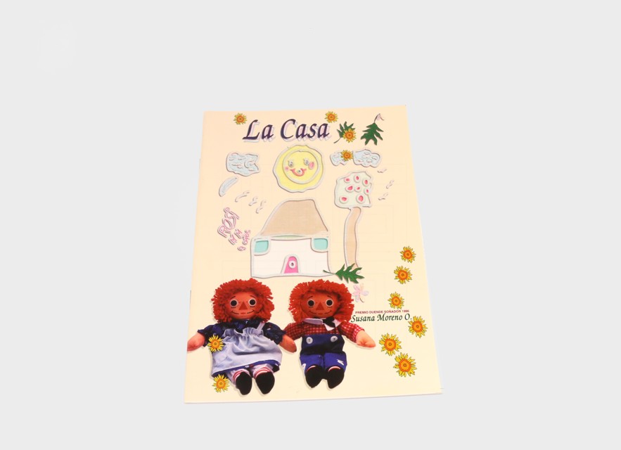 LIBRO LA CASA