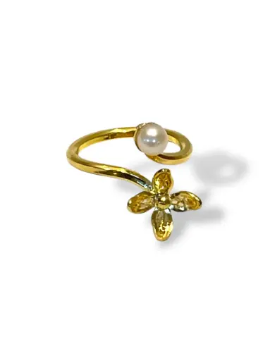 [TJN33] ANILLO IDENTIDAD EN PLATA