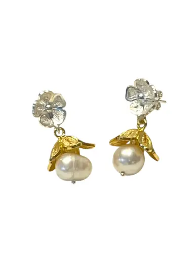 [TJR311] TJR311 - PAR DE ARETES IDENTIDAD EN PLATA
