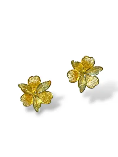 [TJR314] PAR DE ARETES IDENTIDAD EN PLATA